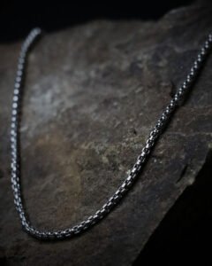Ashline Steel Chain Necklace